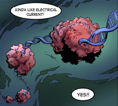 Adventures in Synthetic Biology